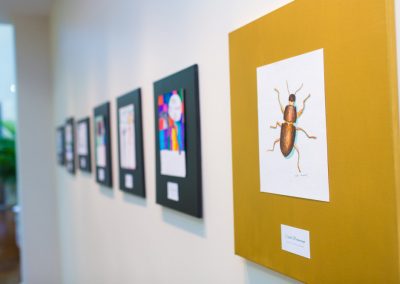 EAA 20th Anniversary 2016