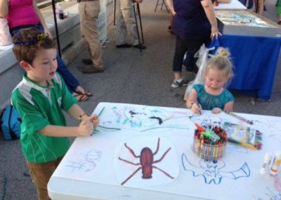 2013 EAA at Batloco Event