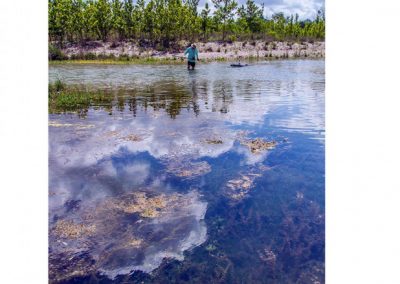 Marcus Gary - Waterflow at the Nueces River
