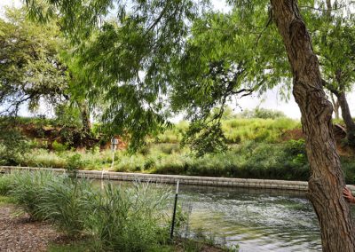 2019 Comal River Bank Stab-AFTER