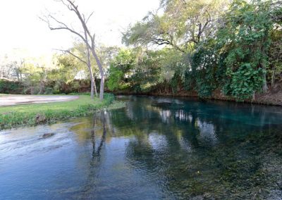 2016 Comal River Bank Stablilization Before