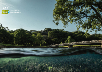 Comal Springs New Braunfels