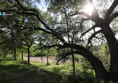 Field Research Park San Antonio