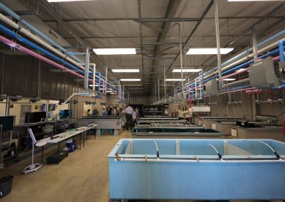 2019 Refugia Grand Opening