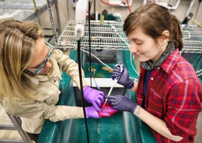 2020 SMARC Refugia Salamander Study