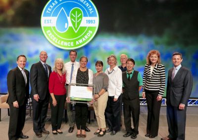 2016 Texas Excellence Award